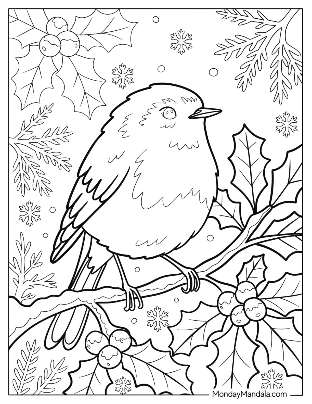 23 robin coloring pages (free pdf printables)